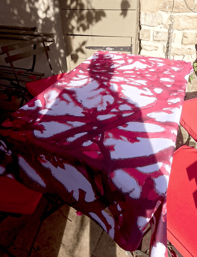  ALGUES ROUGES
