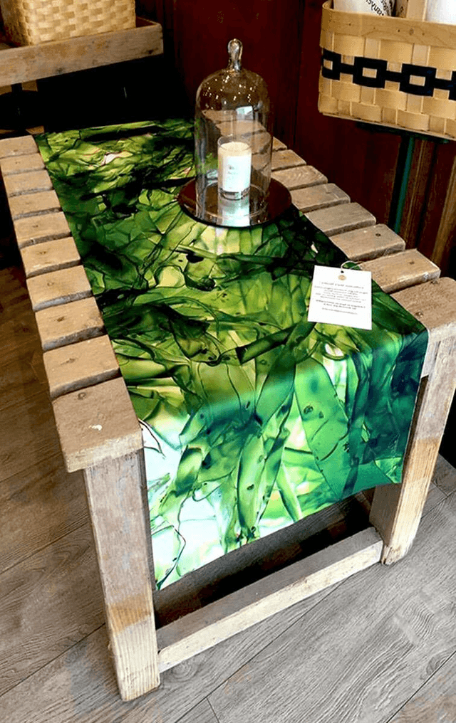 Toile Posidonie 